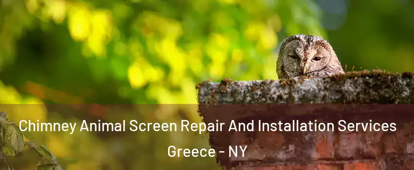 Chimney Animal Screen Repair And Installation Services Greece - NY