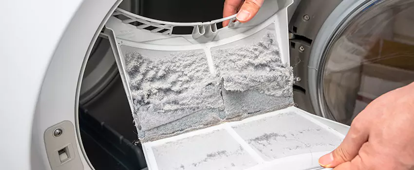 Best Dryer Lint Removal Company in Greece, New York